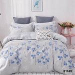 Постельное белье Вилюта 21145 евростандарт   